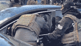 Woman seen on video pulled from car in tussle with federal law enforcement - Fox News